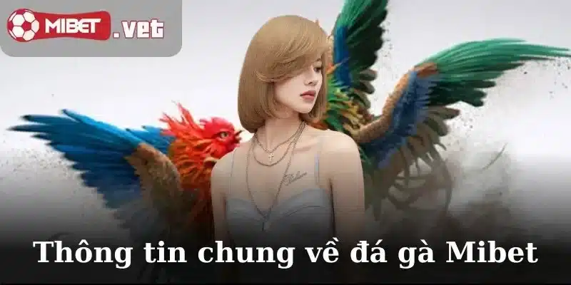 Tổng quát những thông tin chung về đá gà Mibet
